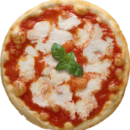  Margherita