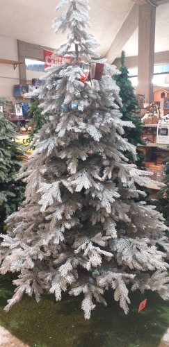 ALBERO NATALE GHIACCIATO FROSTED GRANDIS FIR H.2.40