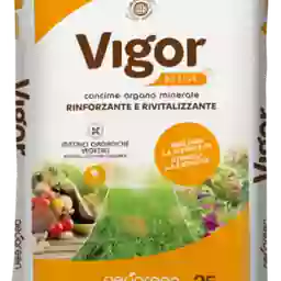 VIGOR ACTIVE ORG. MIN. 7-9-16.5 (8) KG.25