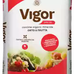 VIGOR SPECIAL ORG. MIN KG.25