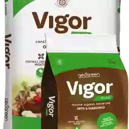 VIGOR PLUS ORG. MIN. NAT.  KG.25