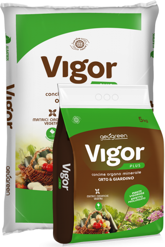 VIGOR PLUS ORG. MIN. NAT.  KG.25