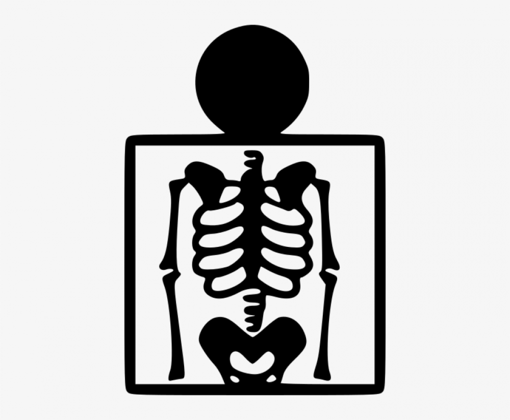 Elba Life - Analisi e diagnostica